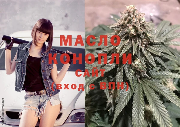 индика Магадан