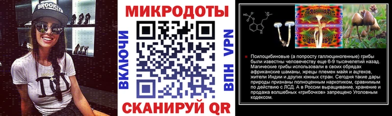 Галлюциногенные грибы мицелий  что такое   Ува 